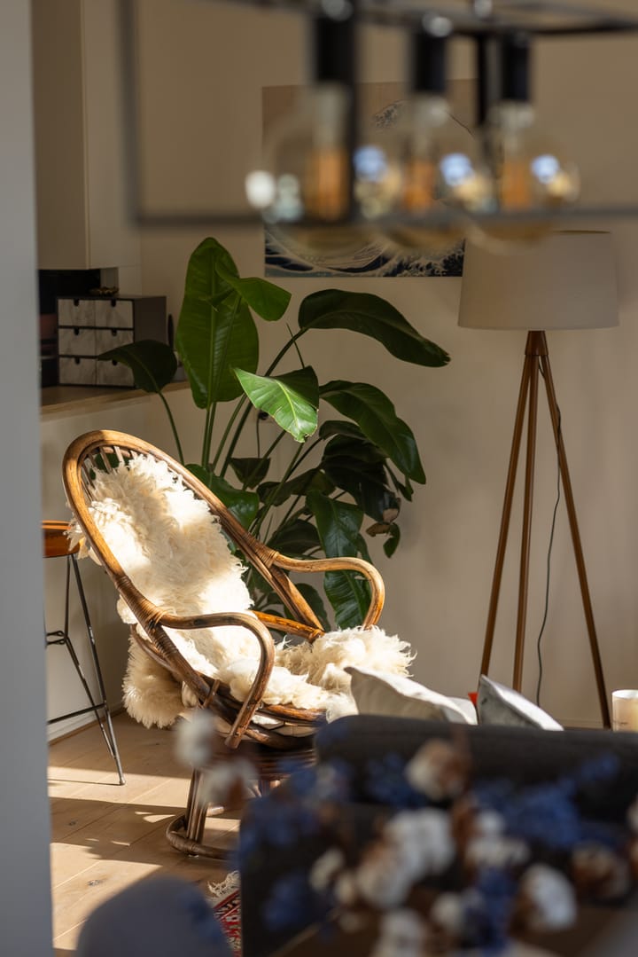 Photo 6 of Vredehofstraat 55-A