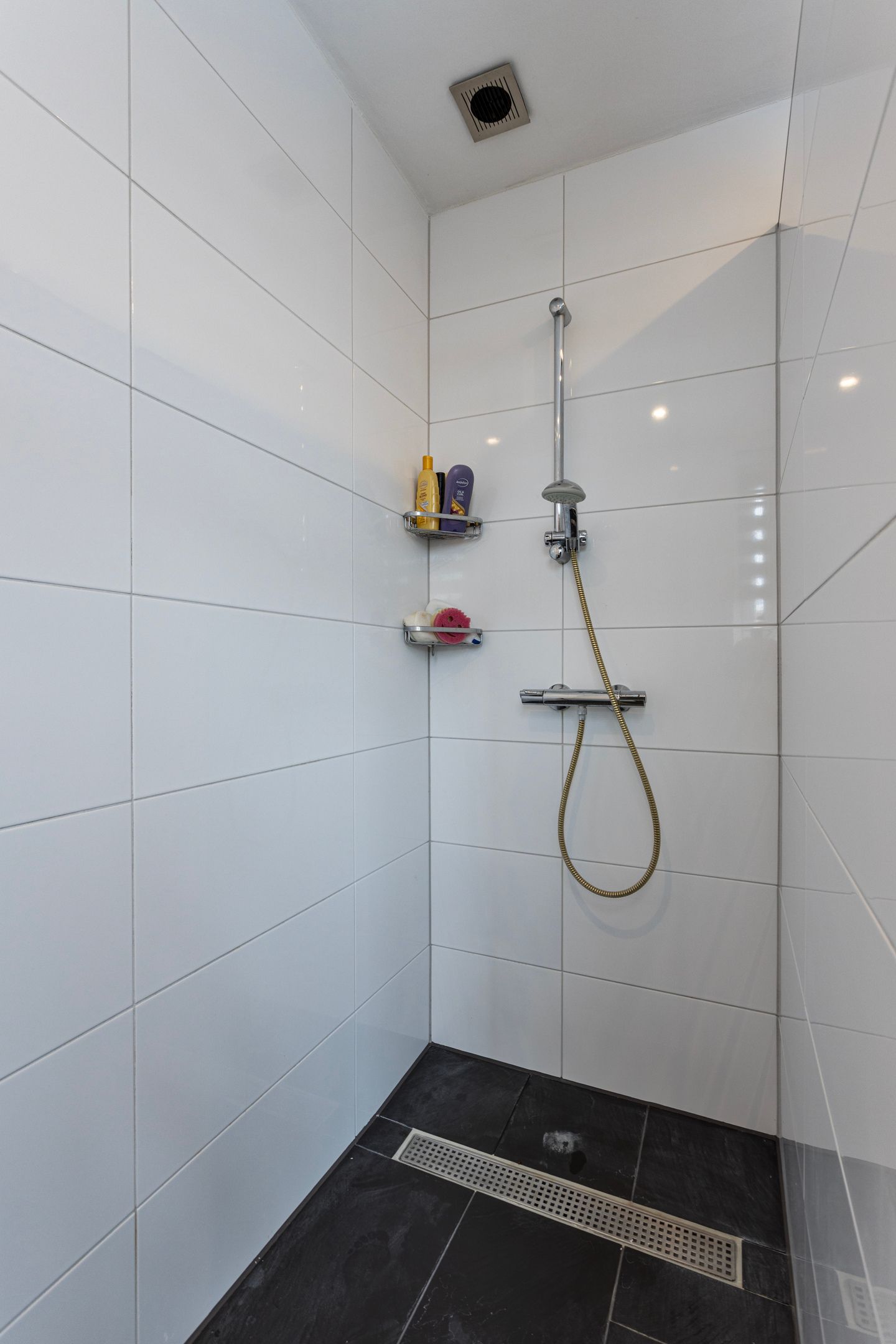 Foto 18 van Elisabeth Bas 11