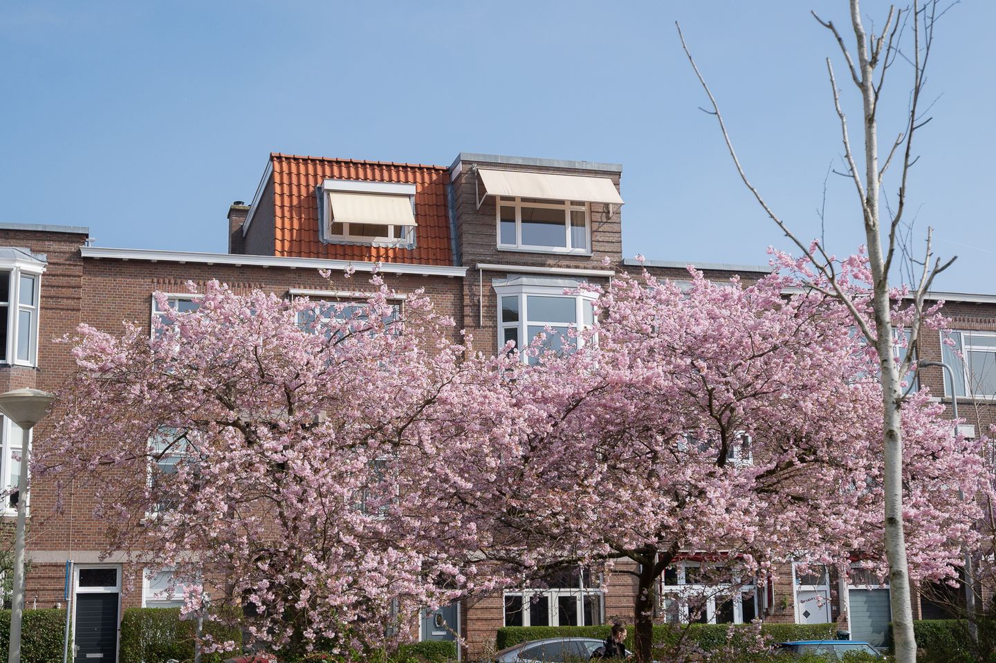 Foto 29 van Kastanjestraat 17