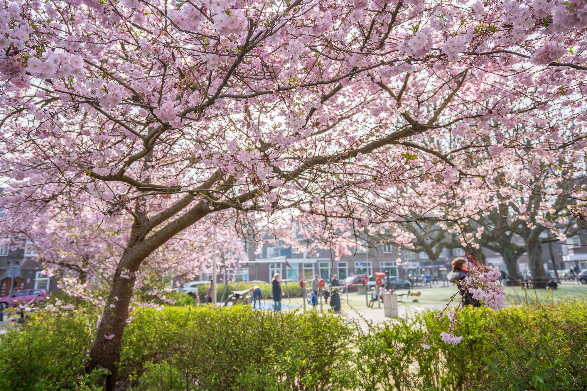 Foto 30 van Kastanjestraat 17