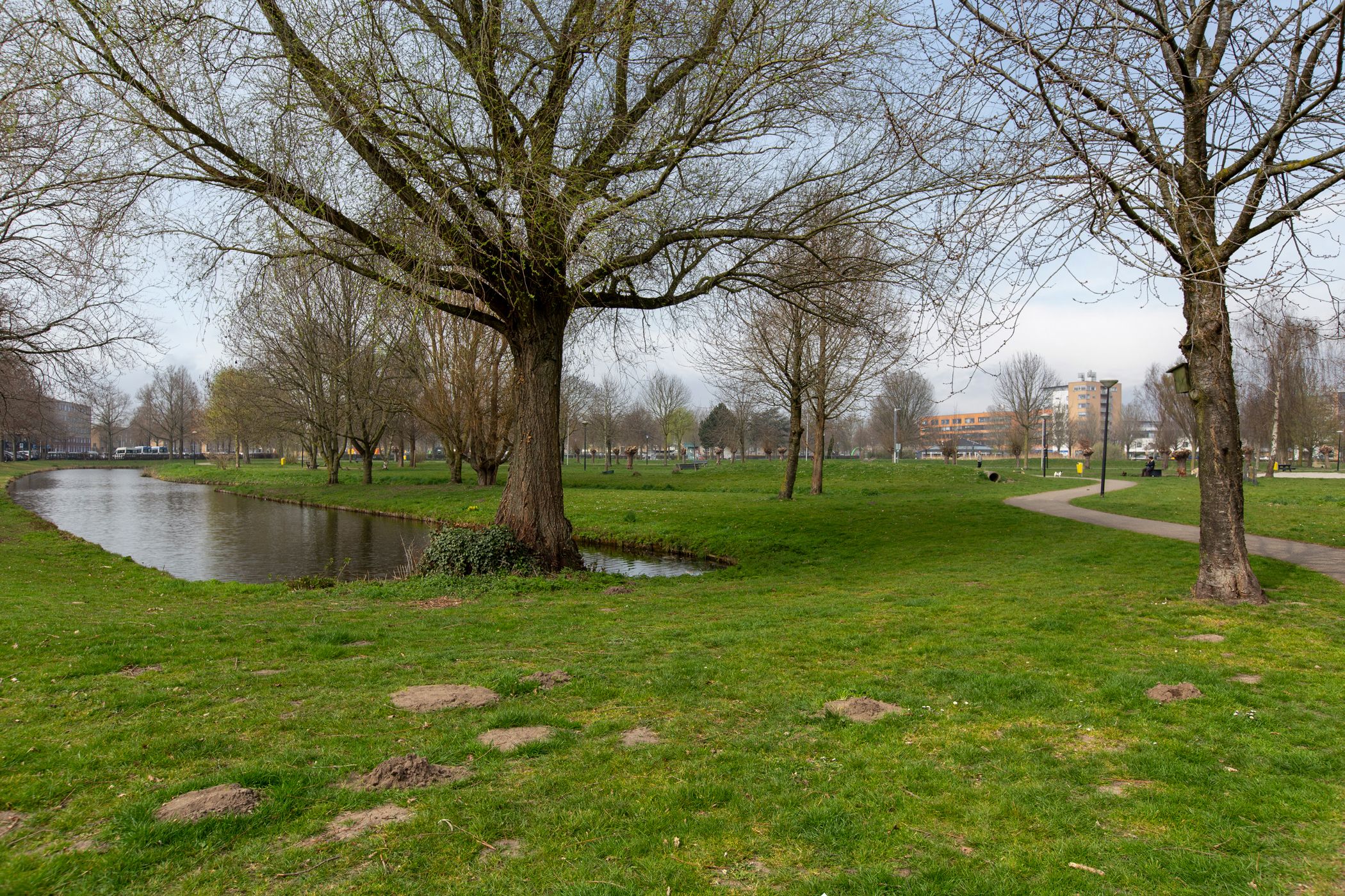 Foto 30 van Wintererf 11