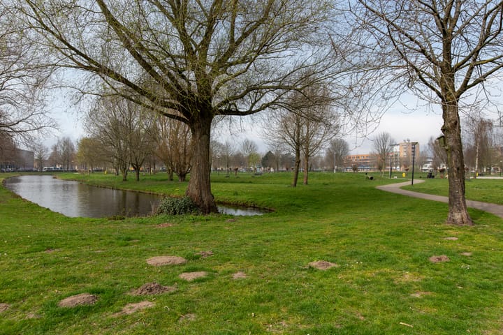 Foto 30 van Wintererf 11