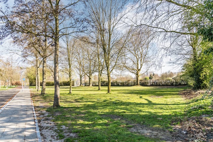 Foto 37 van Patrijzenhof 32