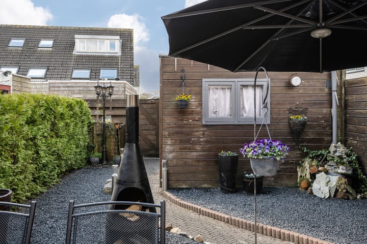 Foto 12 van Waterdrieblad 2