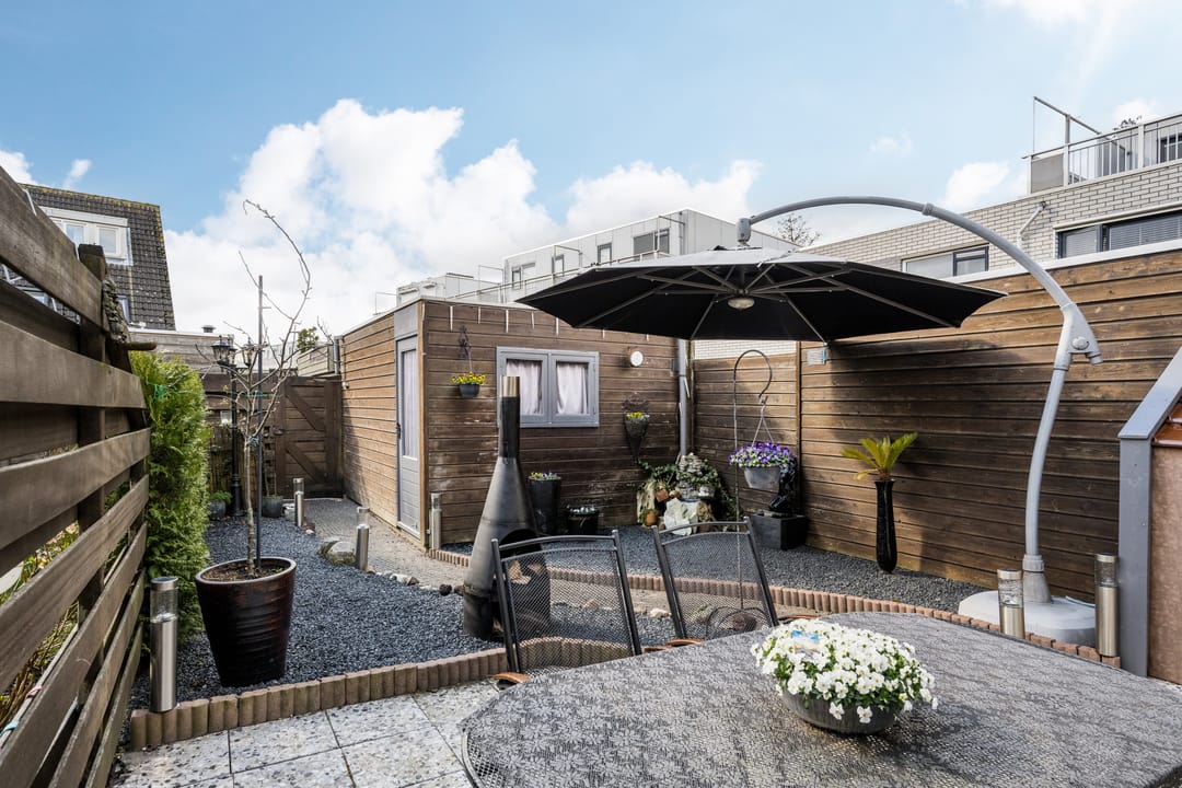 Foto 13 van Waterdrieblad 2