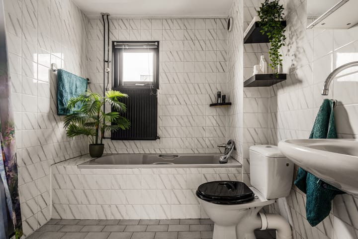 Foto 20 van Waterdrieblad 2