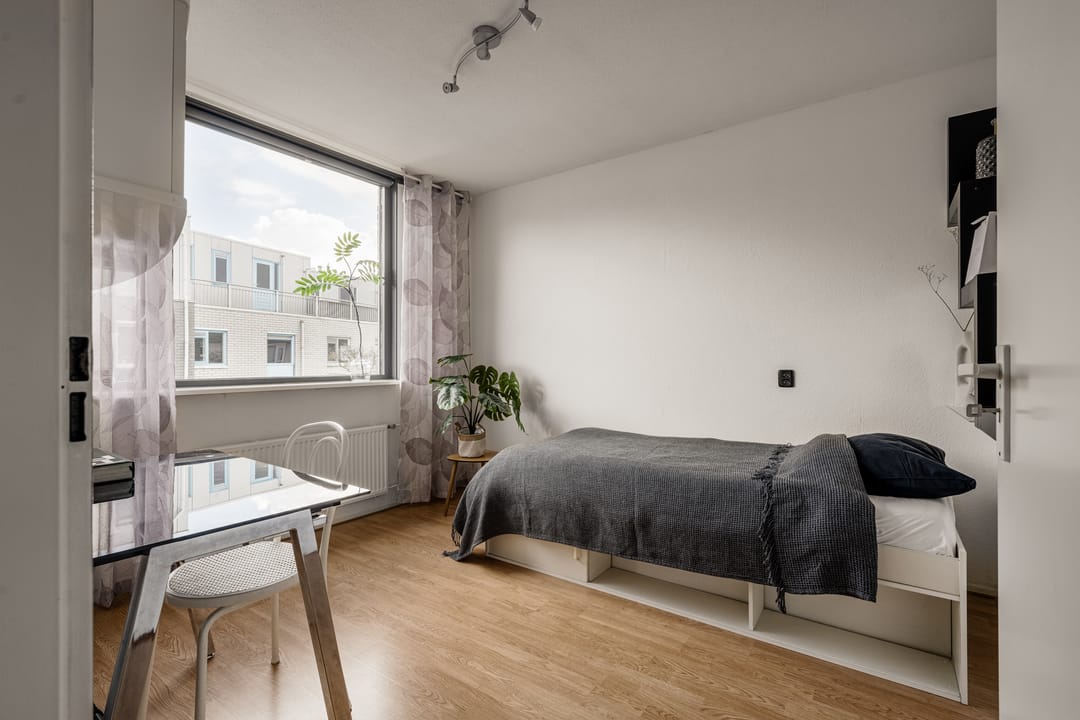 Foto 23 van Waterdrieblad 2