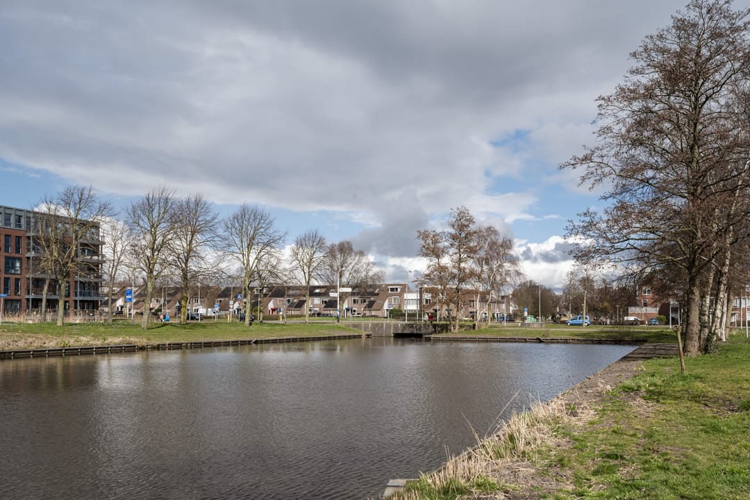 Foto 28 van Waterdrieblad 2