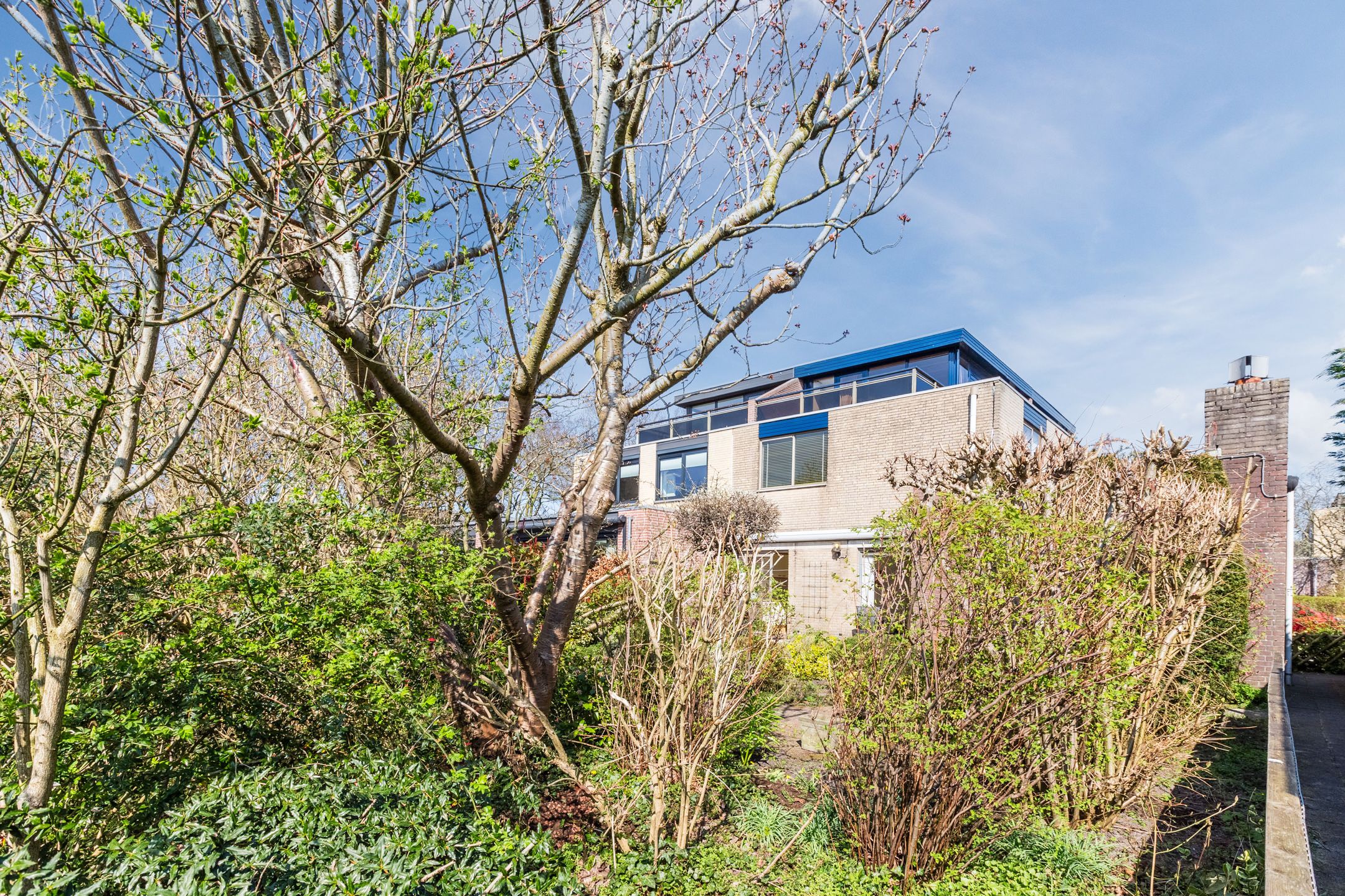 Photo 51 of Kalmanstraat 19