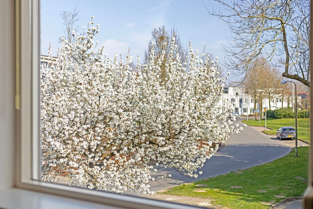 Foto 13 van van Heeckerenweg 28