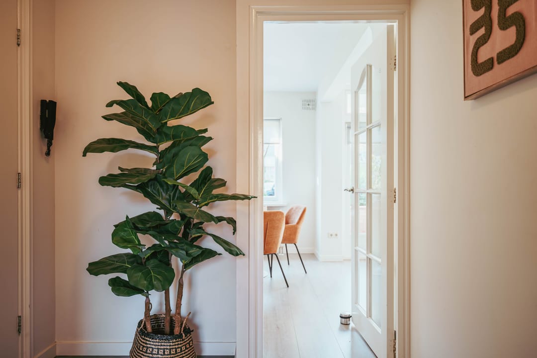 Photo 22 of Admiraal de Ruyterlaan 147