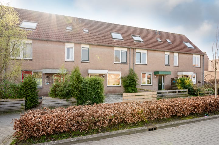 Foto 31 van Tegelenpad 13