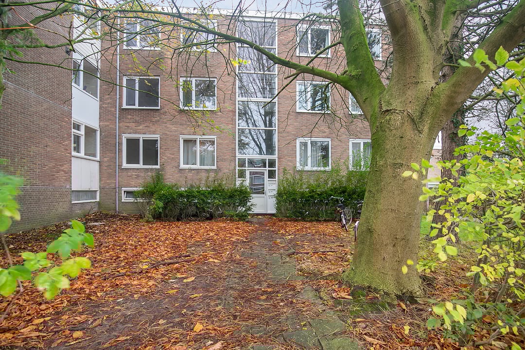 Foto 1 van Bordineweg 13