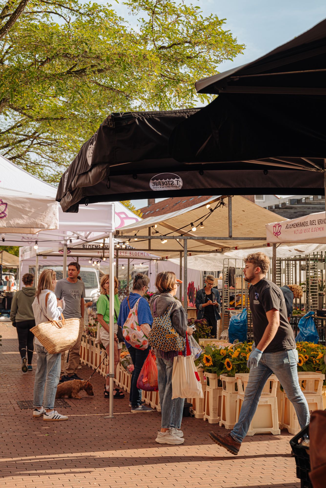 Foto 24 van Stadsplein 80