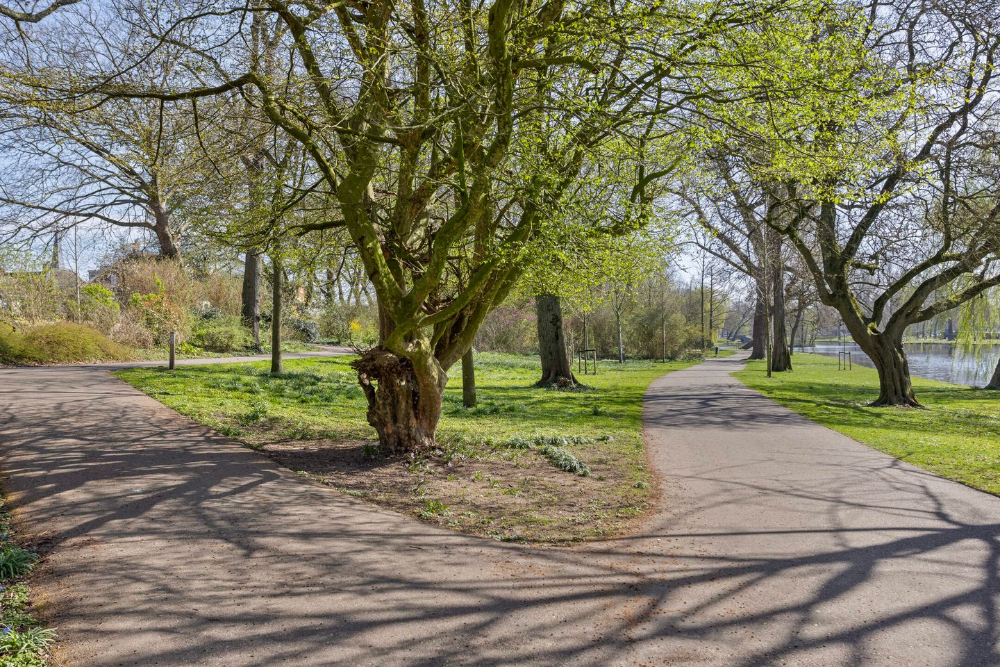 Foto 44 van Groenestraat 168