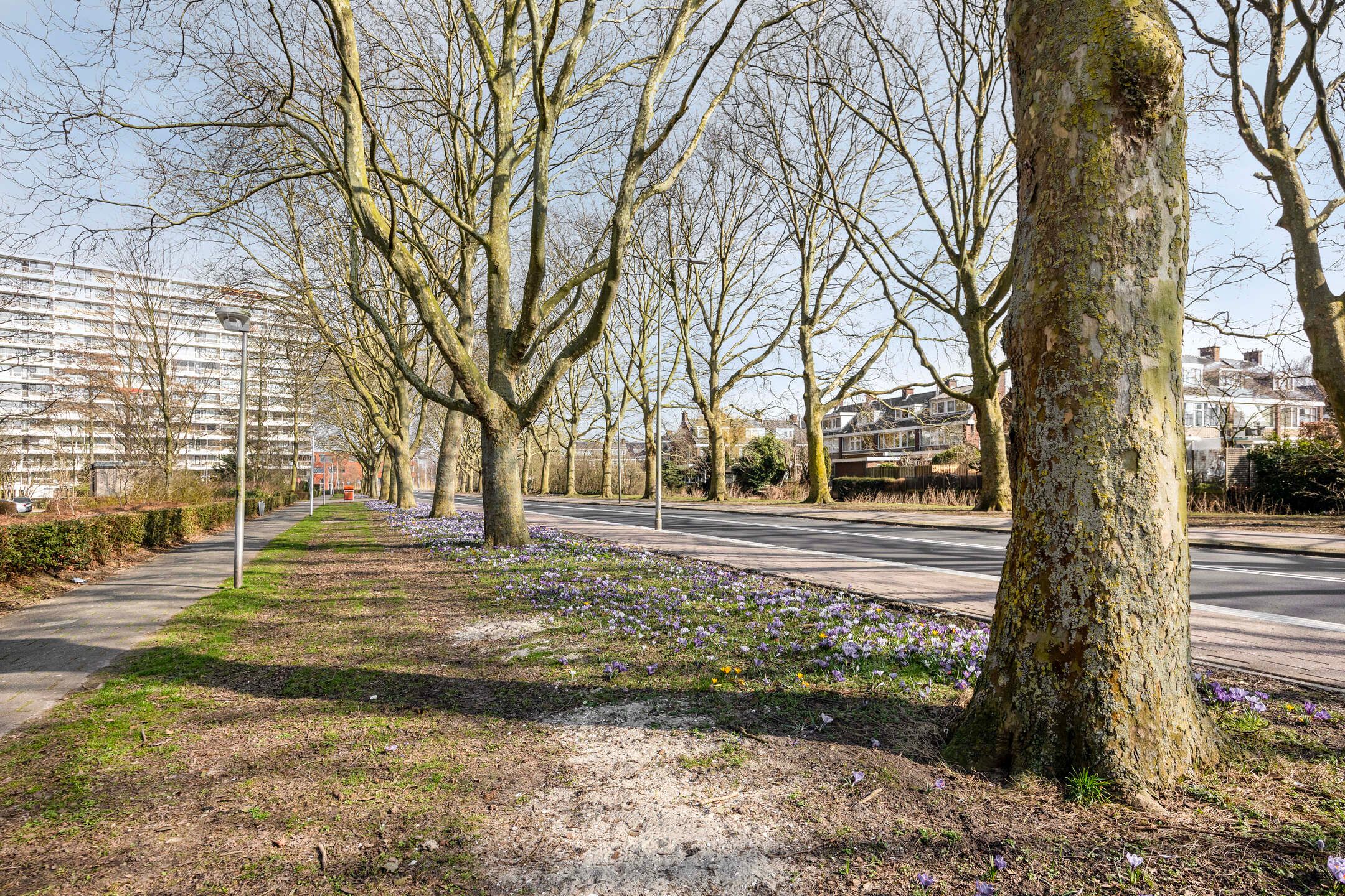 Foto 30 van P C Boutenssingel 73