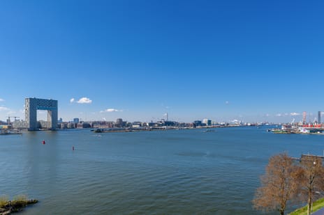 THIS. | Koop tertiary image