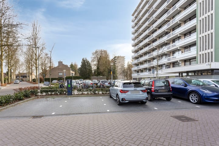 Foto 7 van de Koppele 711