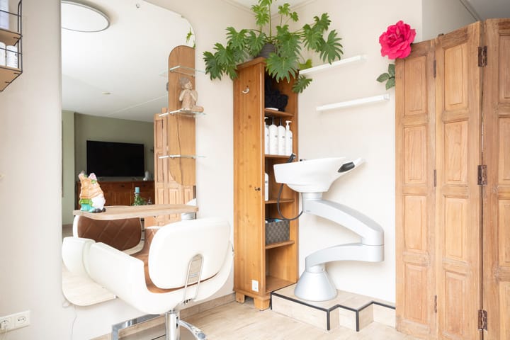 Foto 12 van Ooievaar 11