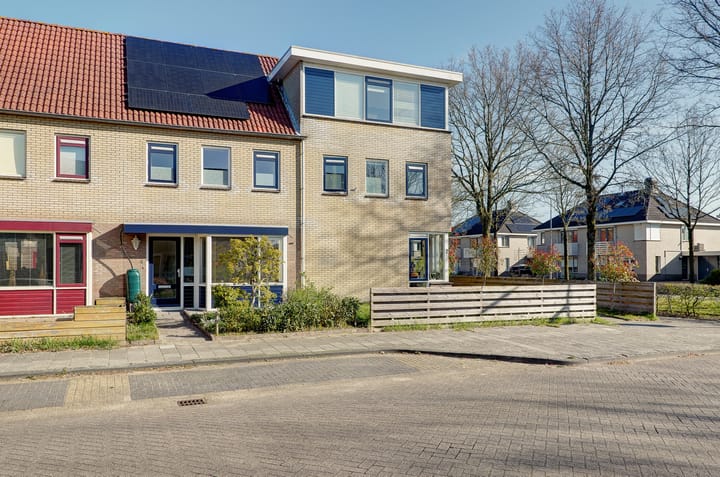 Foto 2 van Egelslag 4