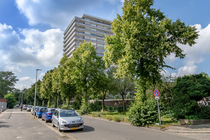 Foto 42 van Aziëlaan 300