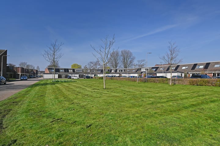 Foto 41 van Saturnus 26