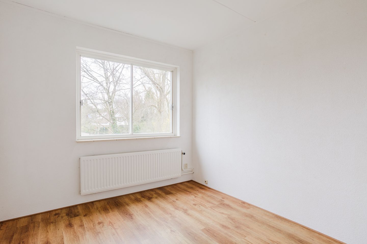 Foto 20 van Schimmelpennincklaan 19