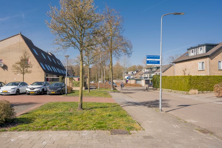 Foto 36 van Brahmslaan 27