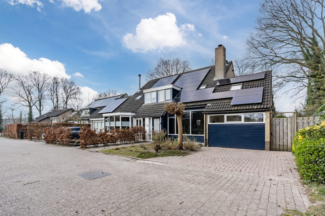 Foto 2 van Schapendrift 121