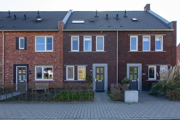 Bekijk foto van Katjesbos 42