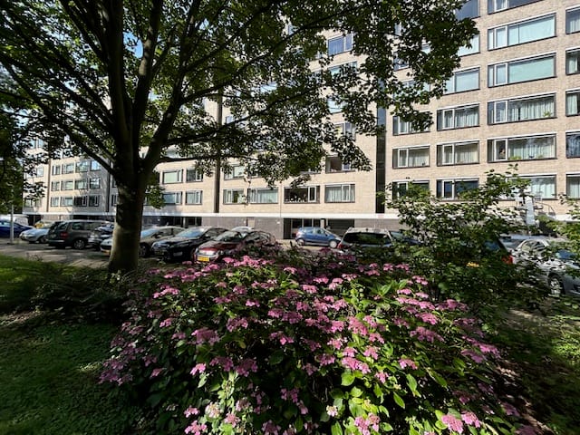 Foto 26 van Richard Holstraat 67