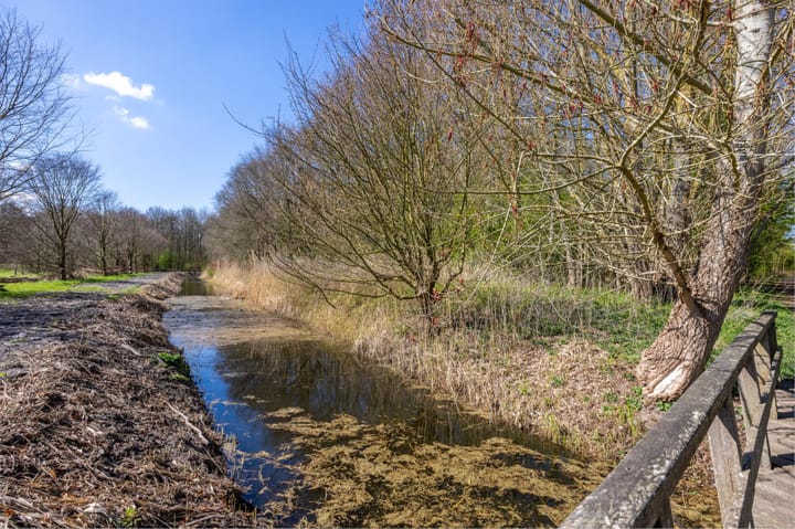 Foto 56 van Schoolstraat 3