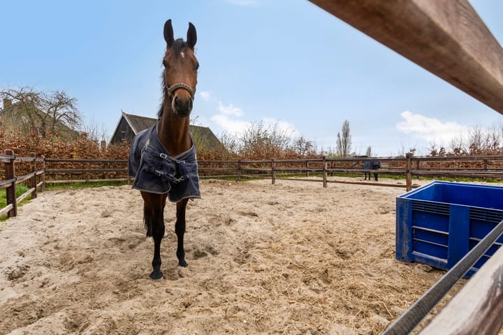 Foto 41 van Oostdijk 31