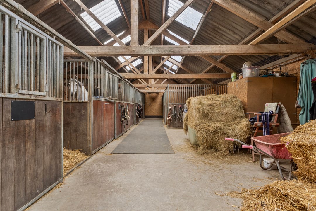 Foto 43 van Oostdijk 31