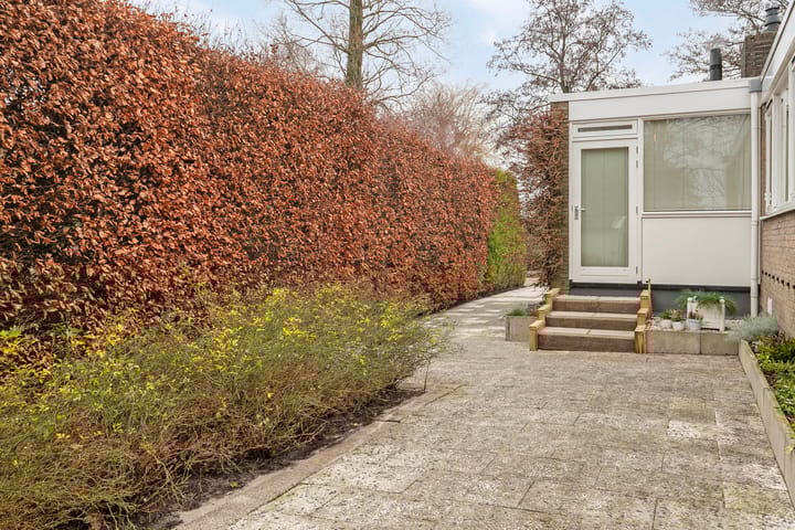 Foto 36 van Weidebloemstraat 16