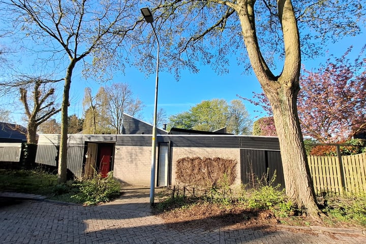 Boomgaard 7