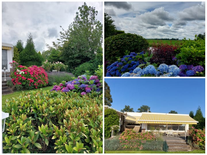 Foto 46 van Weidebloemstraat 16