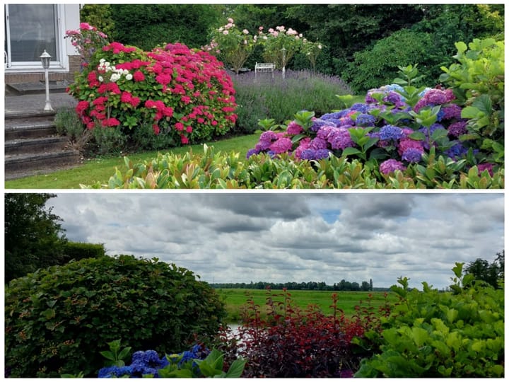 Foto 47 van Weidebloemstraat 16