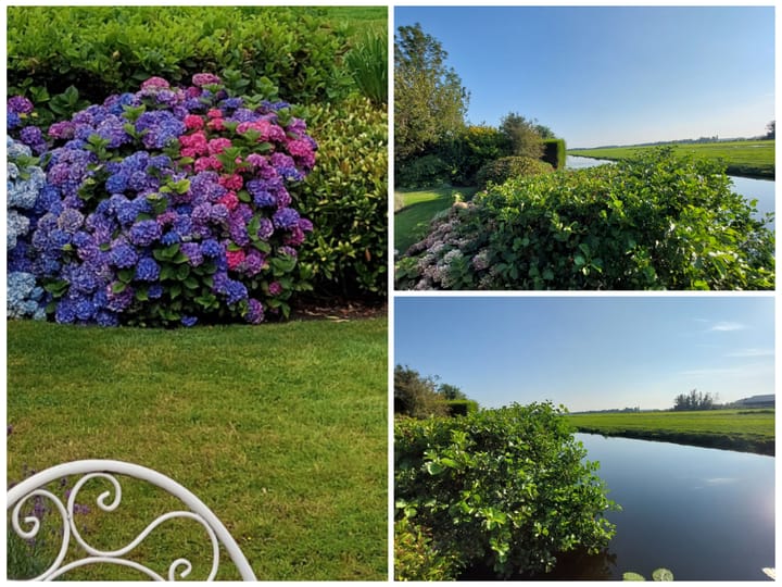 Foto 48 van Weidebloemstraat 16