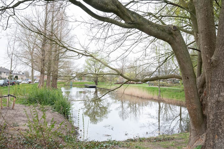 Foto 26 van Boomgaard 7