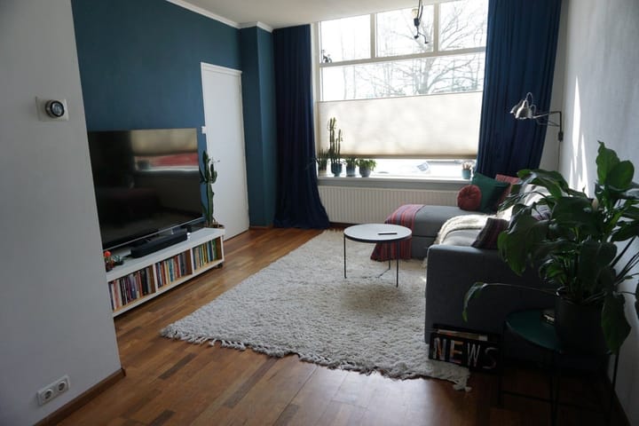 Foto 2 van Zuid-Westsingel 196