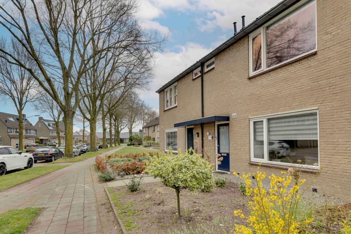 Foto 40 van Maassingel 44