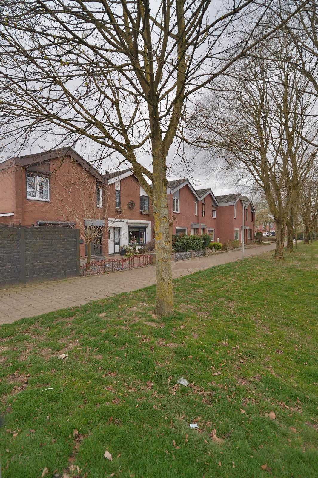 Foto 6 van Wolverlei 1