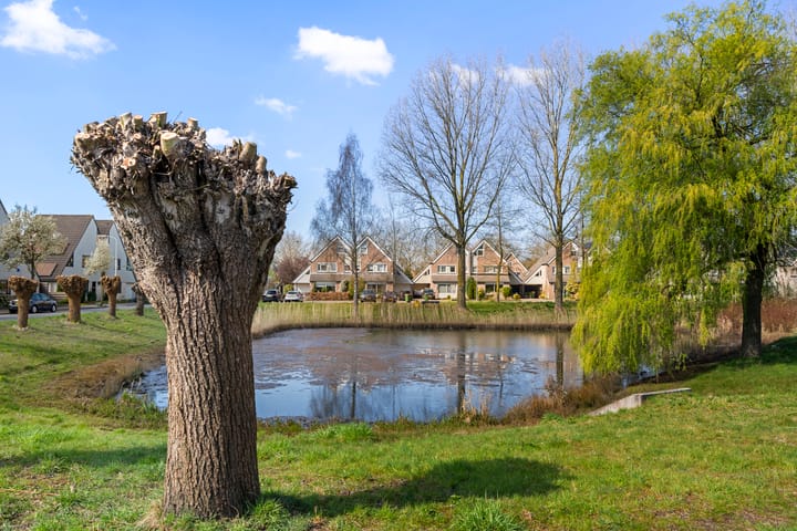 Foto 2 van Ereprijs 16