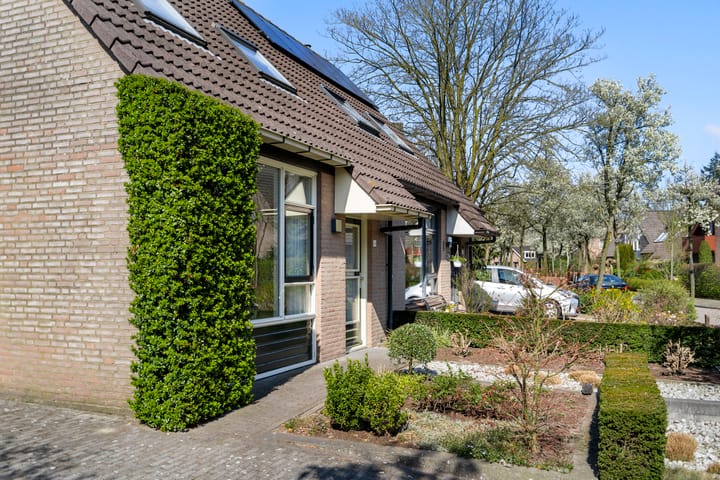 Photo 6 of Ereprijs 16