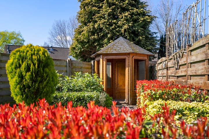 Photo 30 of Ereprijs 16