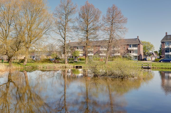 Foto 3 van Oosterpark 11