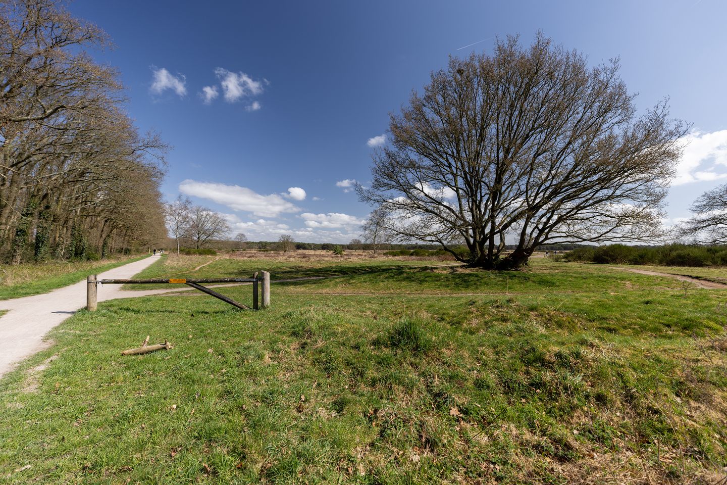 Foto 20 van Lange Heul 612