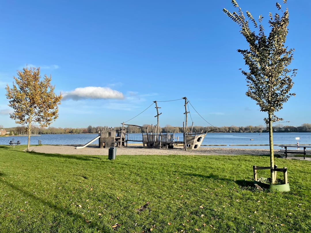 Foto 2 van Plutostraat 62