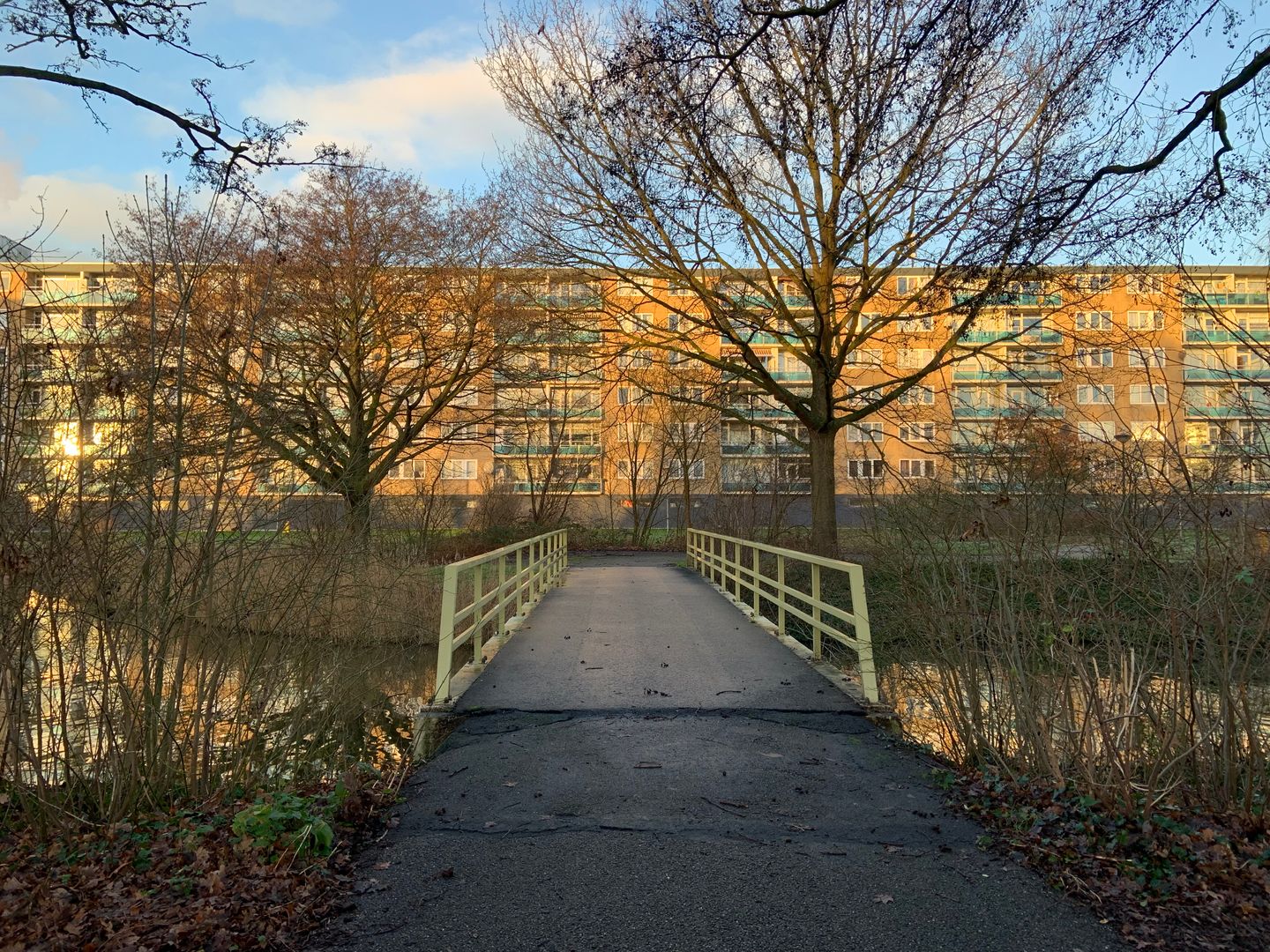 Foto 20 van Plutostraat 62